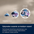 zar10.png